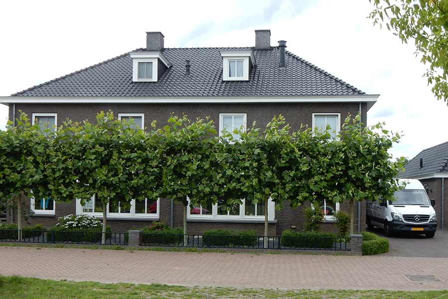 Nieuwbouwwoning in Sint Michielsgestel